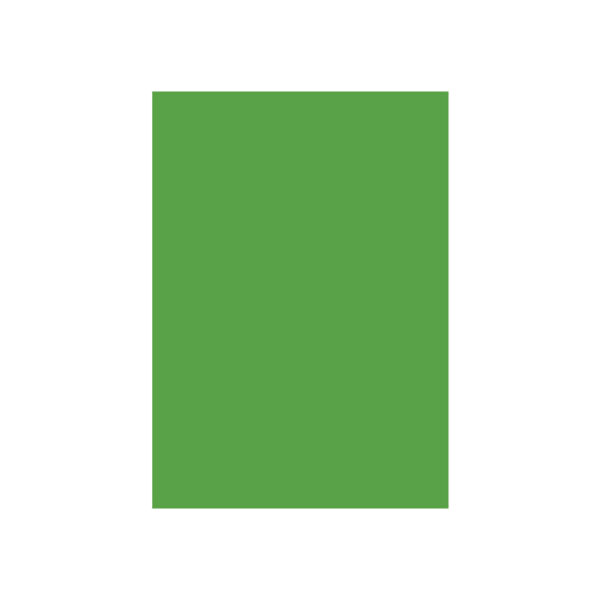 Special Colour Manilla Sheet A4 160Gsm 100 Sheets Green P06942