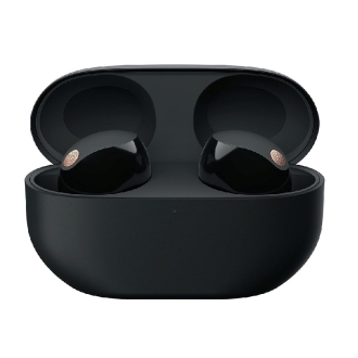Sony Wireless Earbuds The Best Truly Noise Canceling Adaptive Sound Control with AI Black WF-1000XM5